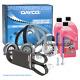 Kit De Distribution Pompe À Eau Courroie Pour Vw Golf 6 Audi A3 1.6 2.0 Tdi Cay