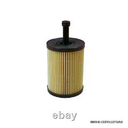 Kit Entretien VW Golf V (1K1) 1.9 TDI 77KW 105CV De 2003 À 2009 + Castrol 5W30
